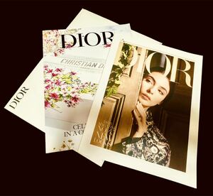 DIOR /platina member premium Book