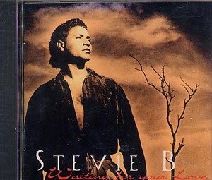 未開封★スティービー B STEVIE B☆Waiting for Your Love