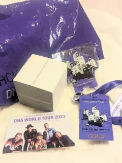 BACKSTREETBOYS★DNA WORLDTOUR★ゴールド指定席グッズ