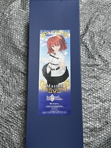 ボークス ドルフィードリーム DD Fate/Grand Order マスター 主人公 女