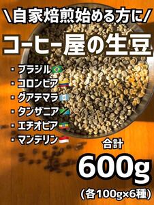 手鍋焙煎向けコーヒー生豆×人気6種★ ブラジル、コロンビア、グアテマラ、エチオピア、タンザニア、インドネシア★合計600g(約45杯)