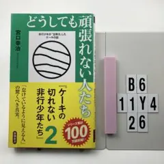 どうしても頑張れない人たち ケーキの切れない非行少 B6-11Y426