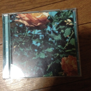 globe relation cd は