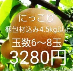 梨　にっこり　にっこり梨　栃木県産　梱包材込み4.5kg以上