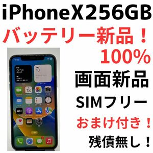 送料無料！おまけ付き！iPhoneX256GB バッテリー100%画面新品！SIMフリー24B19