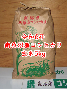 令和6年★新米★南魚沼産コシヒカリ★玄米5kg★産地直送