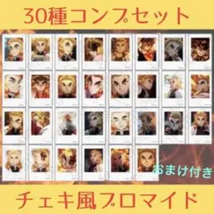 【鬼滅の刃】煉獄杏寿郎 チェキ風ブロマイド 通常ver. 30種コンプセット