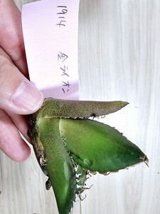 Taki（1870）様へご確認