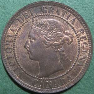 (C-479) カナダ　1セント銅貨　1895年 ヴィクトリア女王