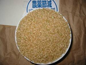 【即決送料込】令和5年産 新米★富山 入善 減化学肥料 コシヒカリ★精米 10kg（玄米低温保管）