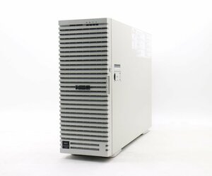 NEC Express5800/T120h Xeon Silver 4110 2.1GHz 32GB 600GBx2台(SAS2.5インチ/12Gbps/RAID1) DVD-ROM AC*2 P408i-a SR Gen10【沖縄不可】