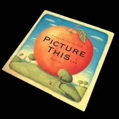 英語版・絵本　アリソン・ジェイ　PICTURE THIS...