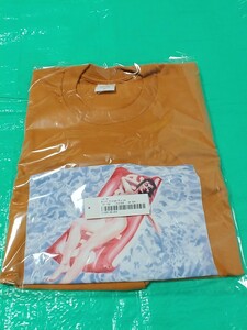 Supreme Float Tee Burnt Orange XL シュプリーム Tシャツ