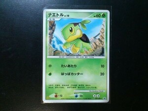 ポケモンカード プロモ ナエトル 027/DP-P