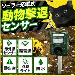 動物撃退器 超音波 ソーラー 猫よけ 忌避 猫 害獣 害鳥 動物 対策