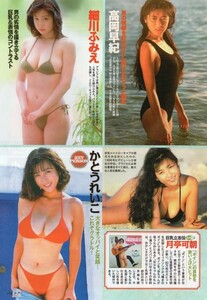 ;;切抜 榊原郁恵 アグネスラム かとうれいこ 宮崎美子 柏原芳恵 堀江しのぶ 雛形あきこ 原幹恵 篠崎愛 井上和香 都丸紗也華 佐野ひなこ他