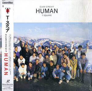 B00183196/LD/T-スクェア「CLUB CIRCUIT HUMAN」