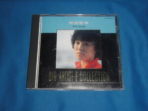 ★★CD★★　尾崎亜美　BIG ARTIST best COLLECTION 　★