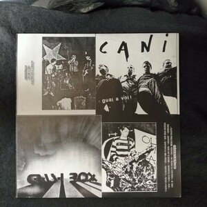 D04 中古LP 中古レコード　ハードコアオムニバス　CRASH BOX / CANI / CCM / CHAIN REAVTION イタリア　ハードコア