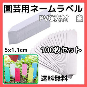 園芸ラベル 5㎝ 100枚 白 ホワイト ネームプレート 名札 ガーデニング