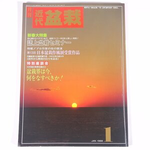 月刊 近代盆栽 No.123 1988/1 近代出版 雑誌 盆栽総合誌 園芸 ガーデニング 植物 特集・誌上盆栽セミナー 第13回日本盆栽作風展 ほか