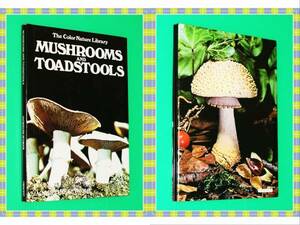 ●Mushrooms and Toadstools Jacqueline Seymour Crescent Books h45