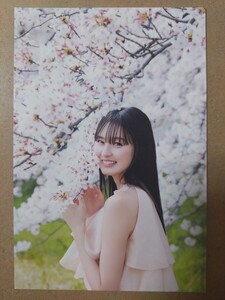 乃木坂46 遠藤さくら 1st写真集『可憐』タワーレコード購入特典ポストカード