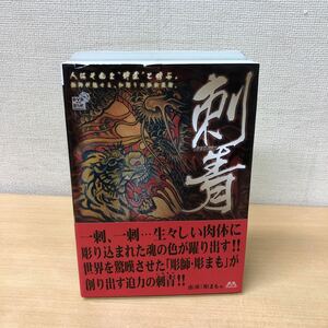 Y1101A 刺青 IREZUMI DVD BOX ボックス 帯付き GPミュージアムソフト 彫まも 彫かん 彫かみ 他 