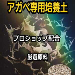 アガベ　専用培養土【10L】プロショップが原料にこだわり抜群の配合で完成させた特選品　これ1つあればバッチリ育成OKです！多肉植物全般に