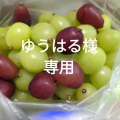 ゆうはる様専用