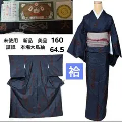 未使用　新品　美品　証紙　袷　本場大島紬　身丈160 裄64.5