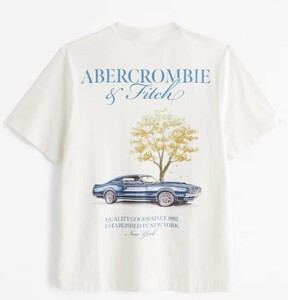 2024aw　US限定　日本未発売　Abercrombie & Fitch Classic Polished Graphic Logo Tee　LAから本物をお届け!!