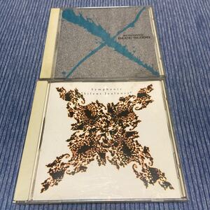 X Japan symphonic アルバム2枚　blue blood silent jealousy CD