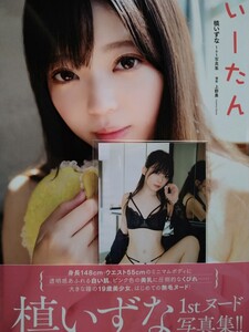 槙いずな　直筆サイン本　1st　写真集　いーたん　ジーオーティー　帯付　生写真　1枚付