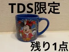 ディズニーシー　限定　スーベニアカップ　クリスマス　ウィッシュ　2010