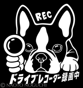 オリジナル ステッカー シール DOG IN CAR ドライブレコーダー 録画中 ボストンテリア E6