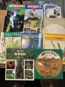 s0910-3.児童書まとめセット/図鑑/虫/植物/昆虫/動物/いきもの/科学/生態/子供/