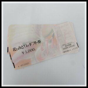 花とみどりのギフト券 12,000円分 2028年12月31日 クリックポスト送料無料