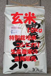 ★新米★[玄米]特別栽培米コシヒカリ１０kg生産農家の直接販売