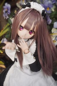 DDH01さめどぉるカスタムヘッドボディ一式