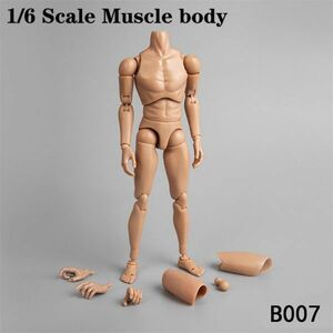 1/6　男性素体　ZYTOYS　B007　1/6サイズフィギュア素体