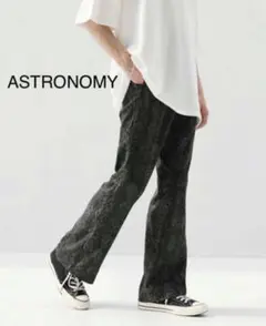 ASTRONOMY ダークグレー フレアパンツ　パイソン柄