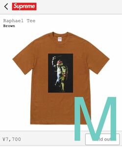 新品 送料込み Mサイズ Supreme Raphael tee brown タートルズ 亀忍者 ラファエロ ブラウン 茶色 BOXLOGO ボックスロゴ ステッカー 付き