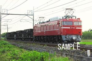 EF81 81【鉄道写真81809】KGサイズ☆