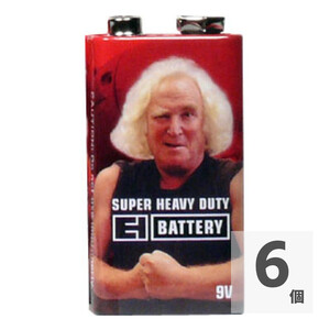 ELECTRO-HARMONIX EHX 9V Battery 9V形 マンガン電池×6個