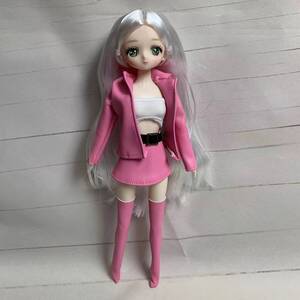 着せ替え人形 1/6スケール バービー人形サイズ 30cm 服付き 女性 レザージャケット 白髪 球体可動 関節 ボディ 交換 人形 フィギュア t1446