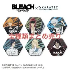 全種類6セット　BLEACH 千年血戦篇　六角缶バッジ　カラオケの鉄人　コラボ