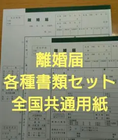 離婚届2部【お子様有り・無し共通】各種セット 離婚後のチェックシート付きg36