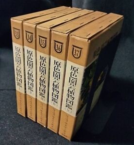 ZZ-10【中古/書籍/図鑑】原色園芸植物図鑑 Ⅰ～V 全5巻セット 塚本洋太郎著 匿名配送 保育社の原色図鑑33・34・35・36・37 植物 園芸 理科