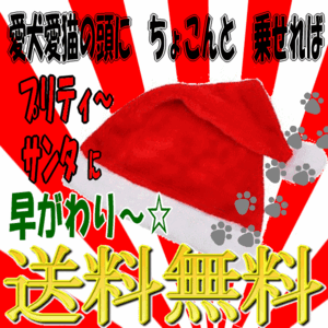 ■588円～■全国送料無料！【サンタ帽子】愛猫の頭に乗せるとあ～ら不思議！とってもかわいいサンタクロースに早がわり☆彡　映えます！